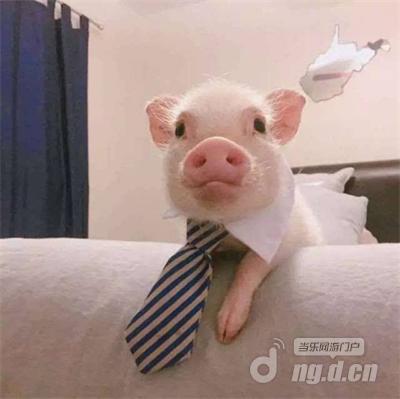 图片20.jpg 图片20.jpg