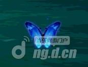 图7海蓝晶蝶.jpg 图7海蓝晶蝶.jpg